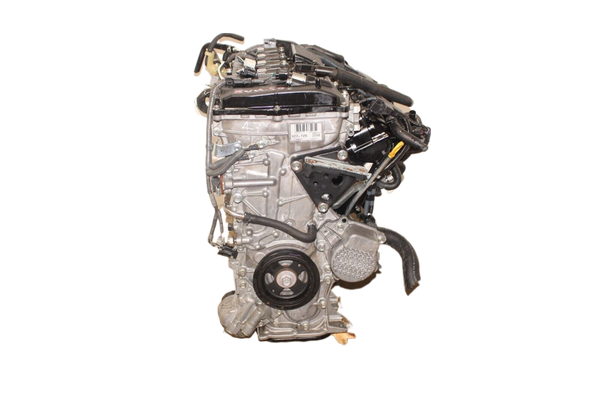 s-l1600_83_-fotor-bg-remover-